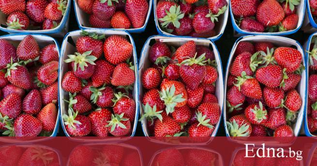 Кога ако не сега трябва да се възползваме от плодовите