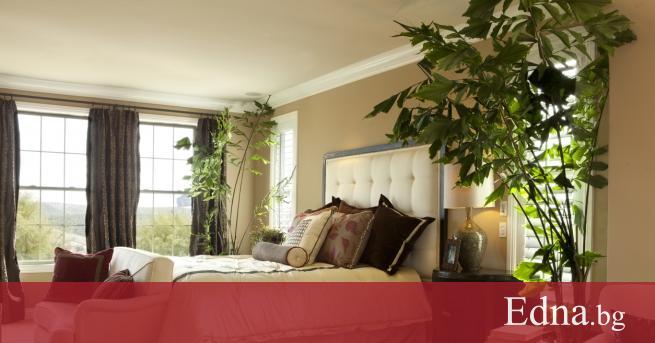 Има нещо толкова прекрасно и релаксиращо в това да се