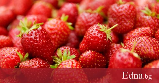 Повече плодове по малко килограми Това е на кратко заключението на