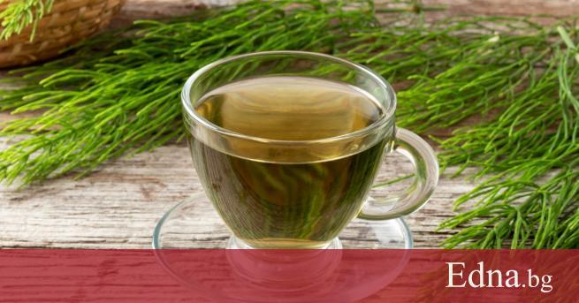 Полският хвощ е многогодишно тревисто растение което е широкоразпространено в