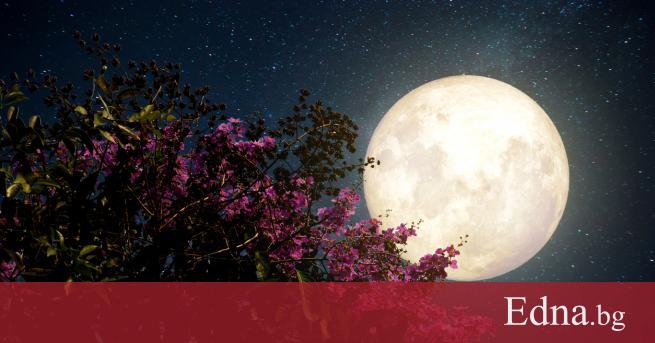 Има ли моменти които искате да се повторят А какво