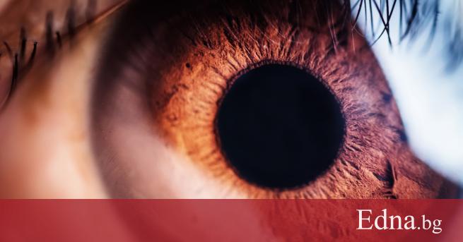 Всички сме родени за да бъдем уверени щастливи и да