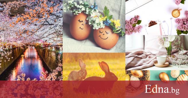 Всички се радваме на красивите снимки които ни посрещат когато