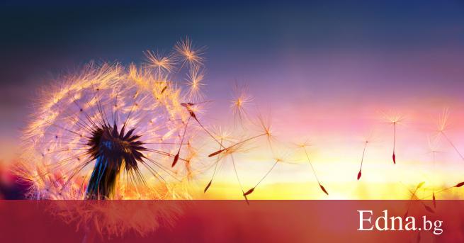 Май 2020 г ще бъде месец на духовен растеж за нас