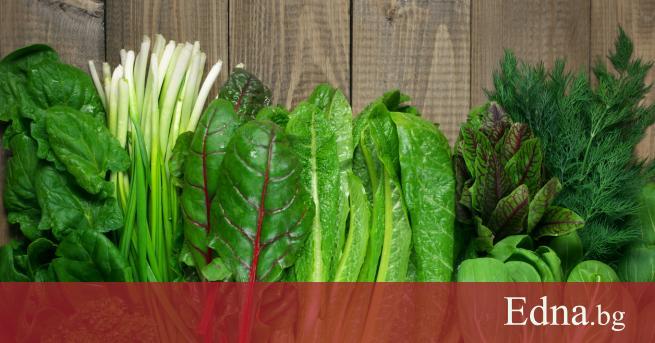 За да функционира правилно нашият организъм се нуждае от редица