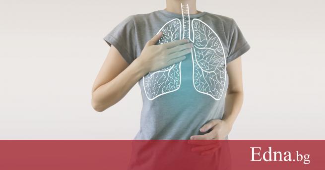 Медуницата е многогодишно тревисто растение Латинското наименование на растението идва