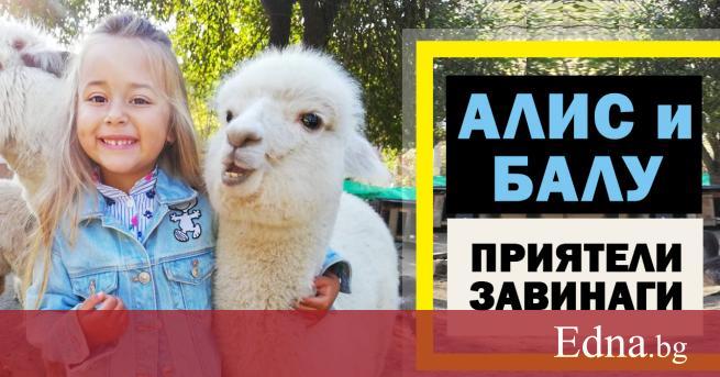 Малката Алис е на 4 години Това което я отличава