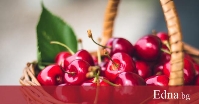 Какво му трябва на човек една стълба едно лято