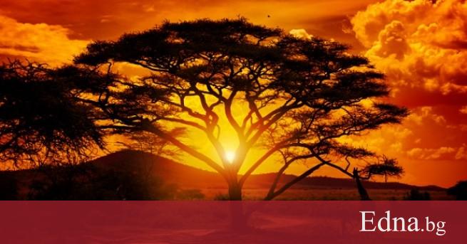 Там времето тече по бавно Там е започнало всичко Там усещаш