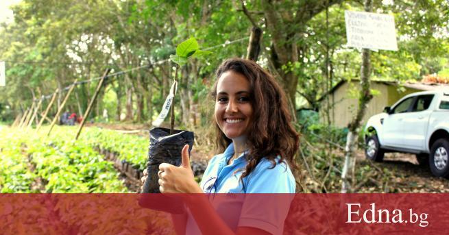 На пръв поглед какаовите зърна са една ценна и полезна