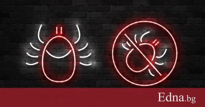 Лятото е свобода поляни и игри на открито Лятото е