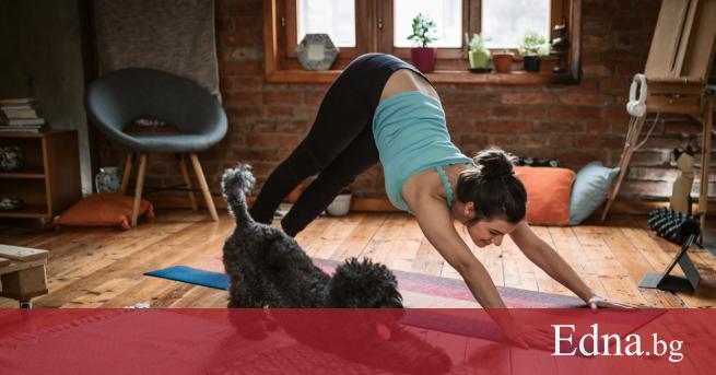 Затворени вкъщи И то на една ръка разстояние от хладилника и