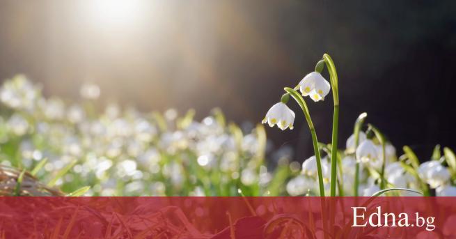 Най ниските температури през март у нас ще бъдат между минус 8 и