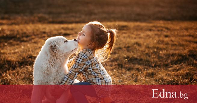 Когато говорим за обич всеки изразява чувствата си по различен