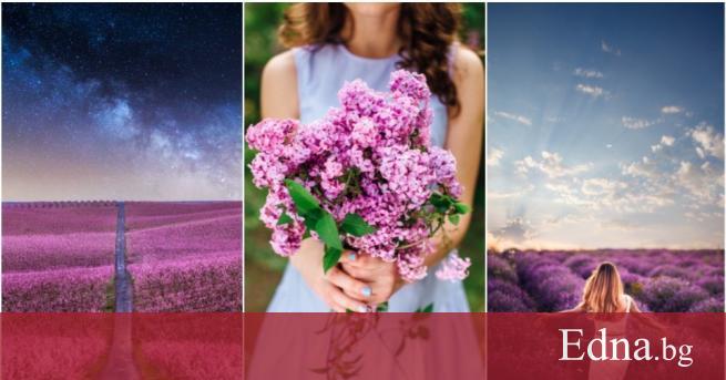 Нов месец нов късмет нов хороскоп Сигурни сме че повечето от