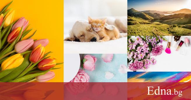 Всички се радваме на красивите снимки които ни посрещат когато