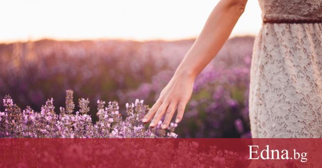 Днешното ни поетично вдъхновение е ведър слънчев лъч в мрачните