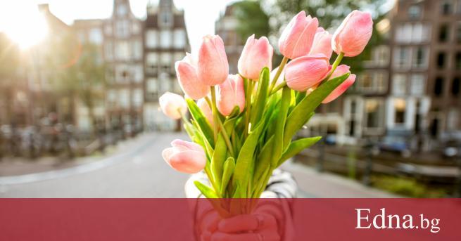 Успехът е неразделна част от живота на всеки човек Той