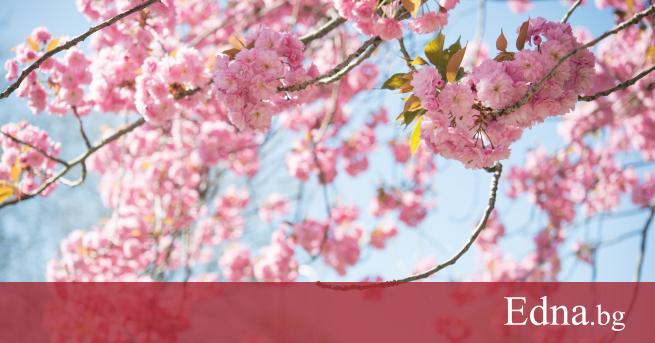 Най ниските температури през април у нас ще са между минус