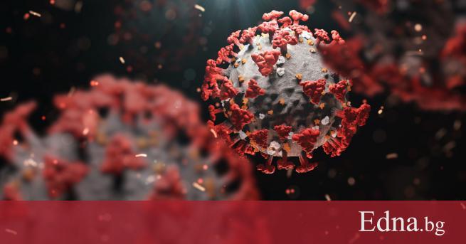 Ако човек вече е бил заразен с новия коронавирус е възможно