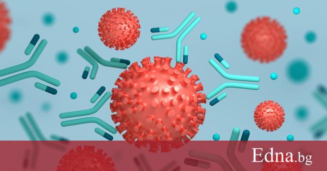 Шведски учени представят обнадеждаваща картина за защитата от антитела предава
