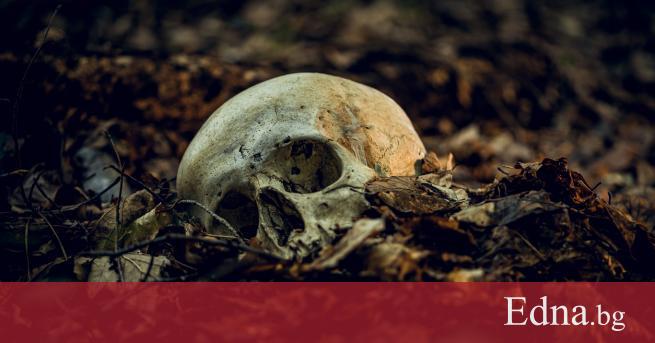 Мистериозен череп намерен в гробница Обирджии на гробове търсещи солидна