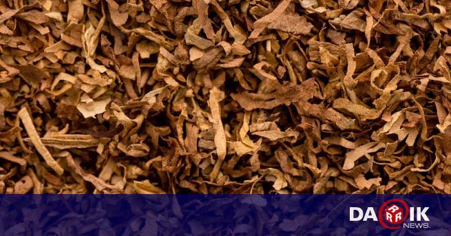 Иззеха контрабанден тютюн за близо 20 000 лв във Варненско