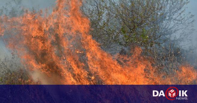 Photo of Élément feu : la lutte contre les incendies se poursuit à Sofia – Bulgarie