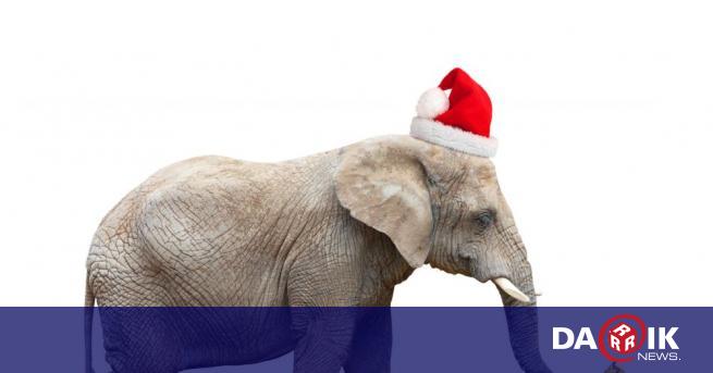 Слонове облечени като Дядо Коледа посетиха училище в Тайланд в