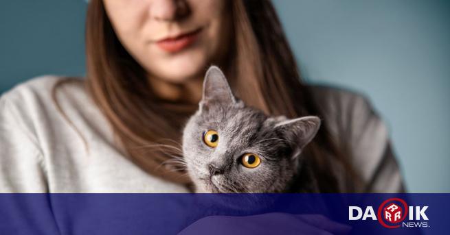 Японски учени са установили в изследване на слуха при котки