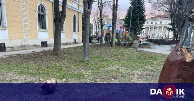 Затварят училищата за ден във Враца, предупреждават за опасност от падащи предмети