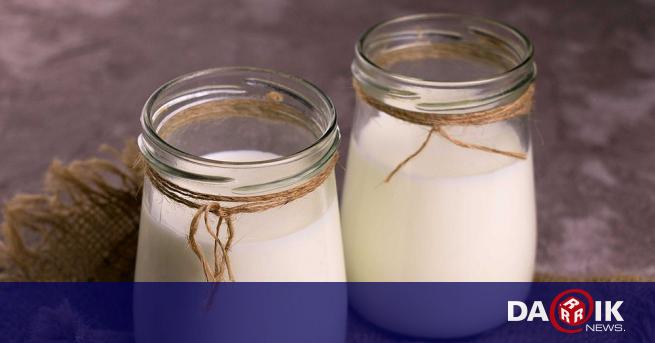 Козето мляко е класифицирано като една от най-здравословните храни в