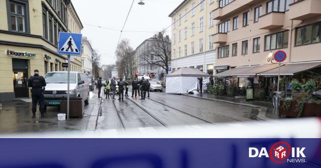 Въоръжен с нож мъж рани полицай в Осло и по-късно