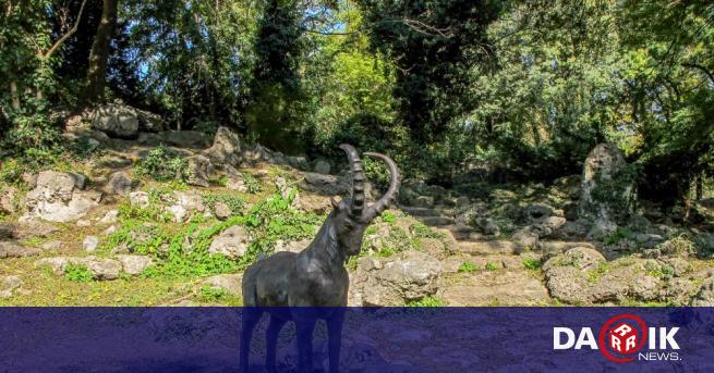 Нова скулптура на козел бе поставена в алпинеума в Морската