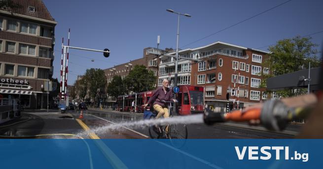 Общинските власти и частният сектор в Нидерландия взеха спешни мерки
