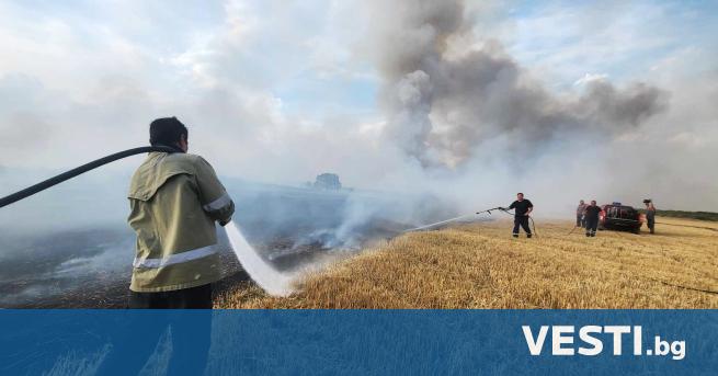 Овладени са две от направленията на пожара в Източните Родопи между