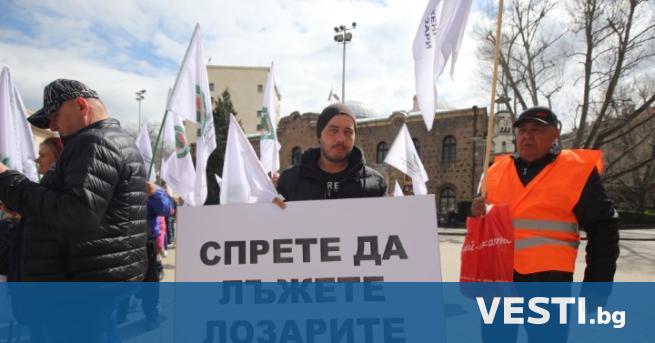 Лозари и лозаро винари излязоха на протест пред Президентството в София