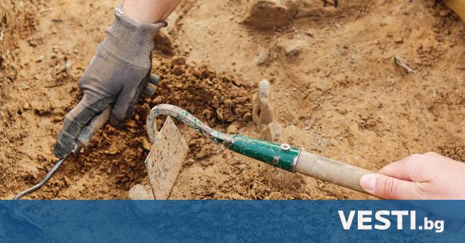 Впещера в Южна Франция са открити доказателства за най-ранното използване
