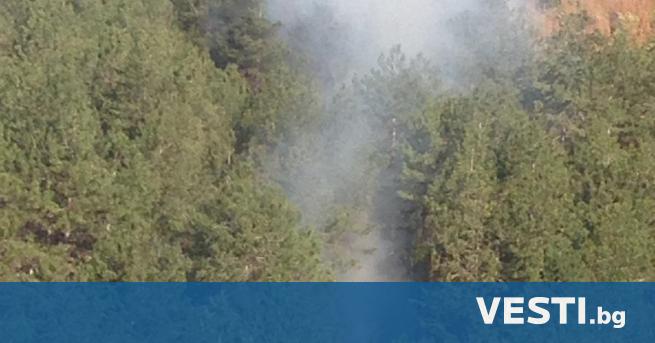 олицията в Сливен задържа 38 годишен мъж за причиняване на пожар