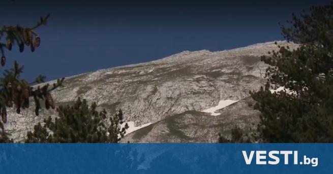 Акция на планинските спасители в Пирин  В момента те свалят пострадал турист