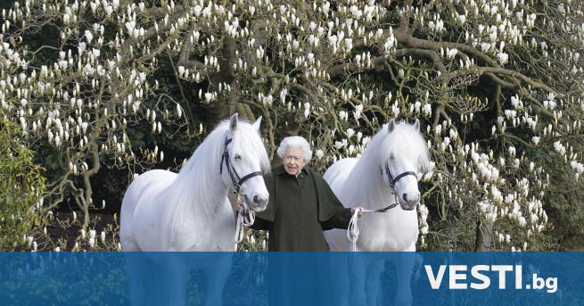 Британската кралицаЕлизабет Втора отбелязва днес 96-ата си годишнина в тесен