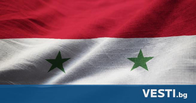 Ж ителка на сирийската столица Дамаск подаде документи за участие