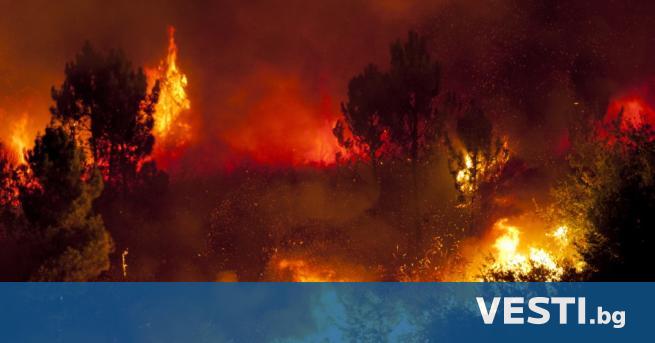 Стотици пожарникари се борят с горски пожар в Южна Франция,