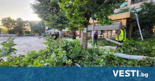Медиите на Западните Балкани съобщават за общо пет жертви на