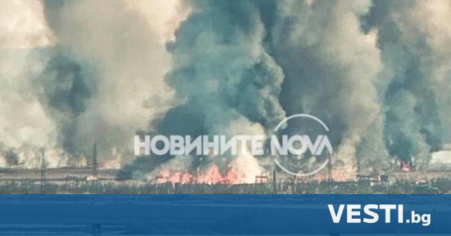 Пожар избухна в бургаския квартал Горно Езерово Горят сухи треви