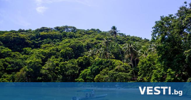 Днес туристите се стичат към тропическия остров Илха Гранде Бразилия в