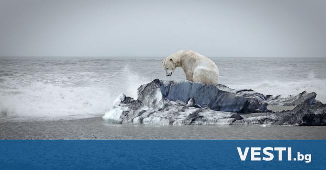 Последната ледена област от Северния ледовит океан която е много