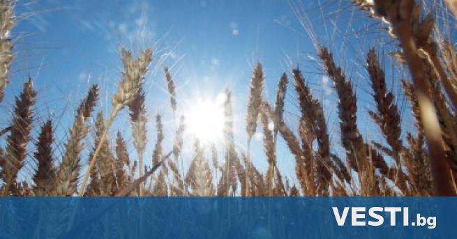 Турция потвърди че споразумението за износ на украинско зърно се