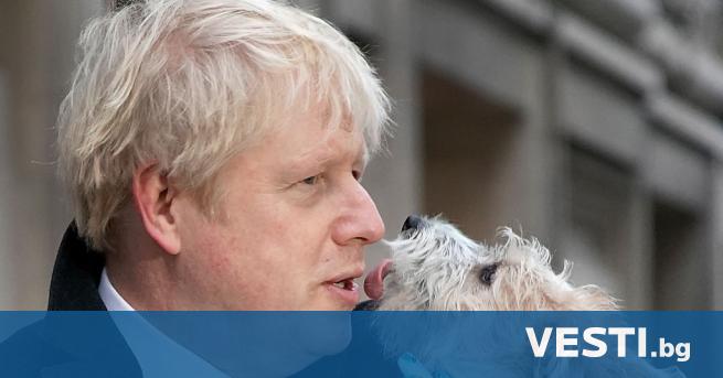 Б ританският премиер Борис Джонсън се оплака че кучето му