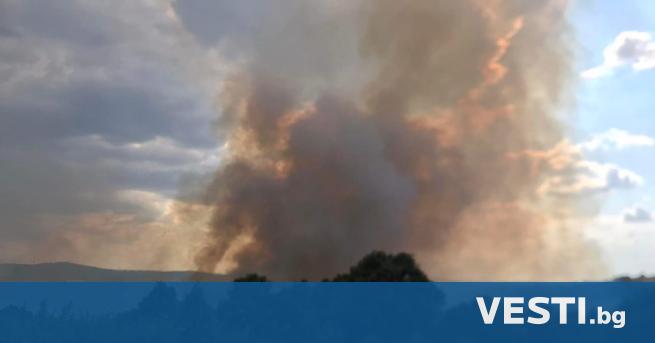 Поредна безсънна нощ за службите в Хасковско заради големите пожари Там